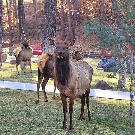 Sierra Blanca Cabins Ξενοδοχείο Ruidoso Εξωτερικό φωτογραφία